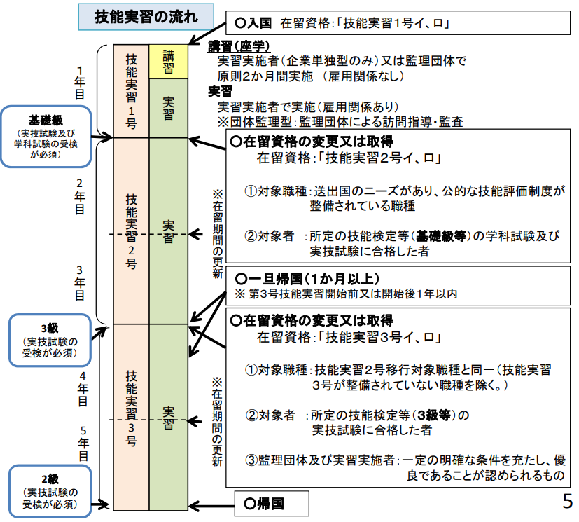 実習フローチャート